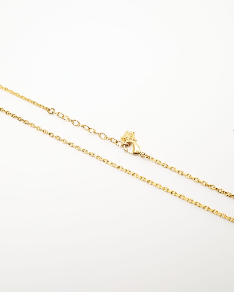 21120_35b764a80a-800-42450_5-full