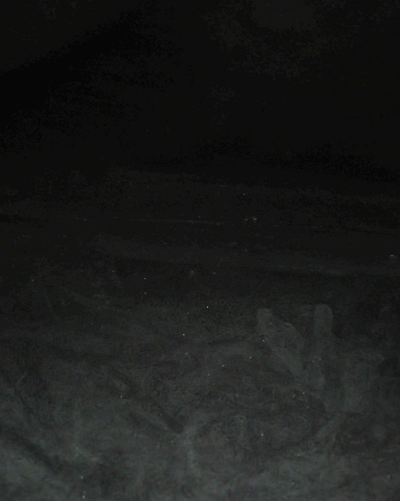 25678_cd9ba40fb0_file-full