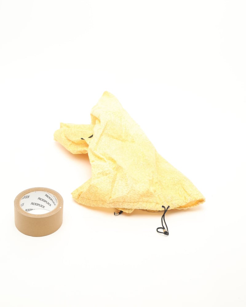 29541_cfede20c63_file-full