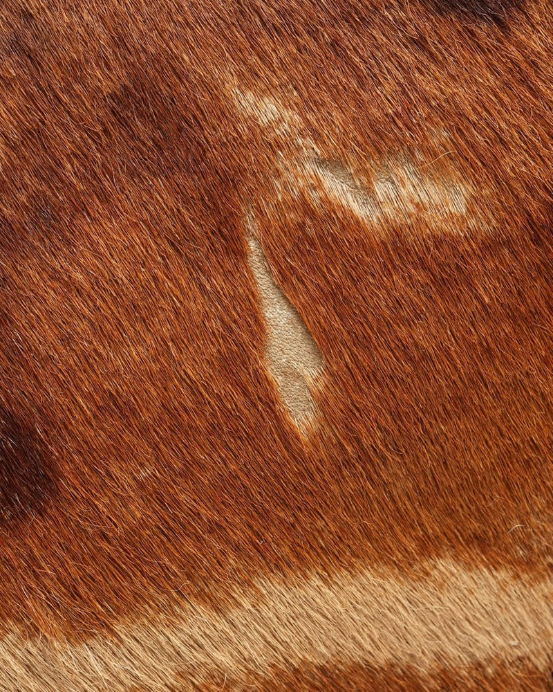 29838_771ca0726a_file-full