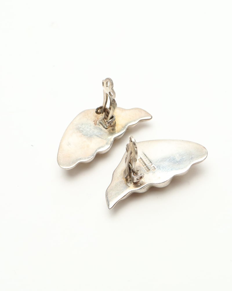 30041_d142e8be76_file-full