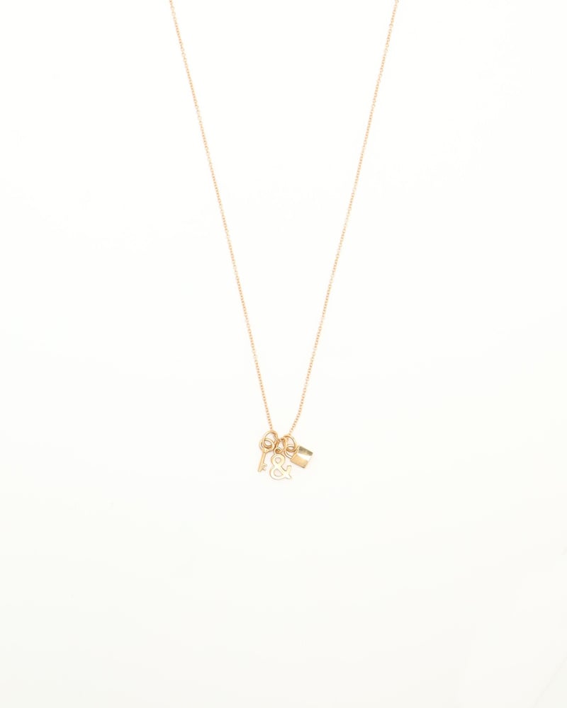 32663_20fb40e2e5_file-full