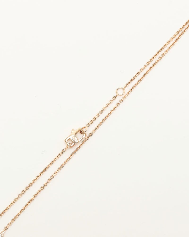 32958_0c728d4bae_file-full