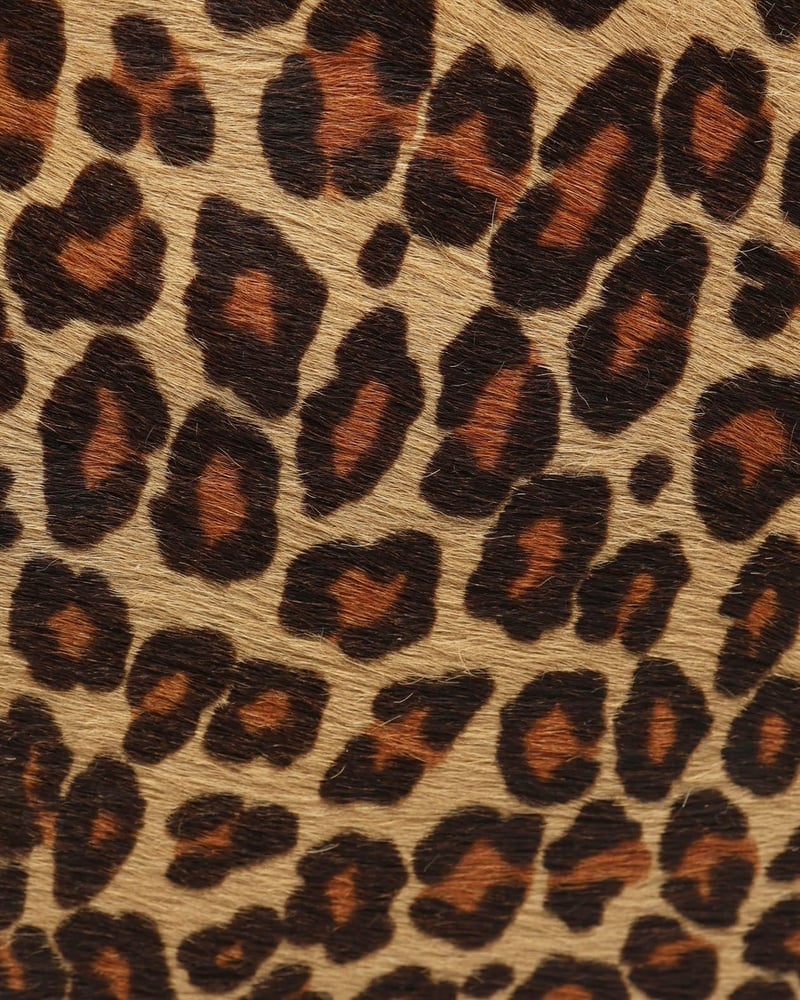 33918_e914c4d54d_file-full