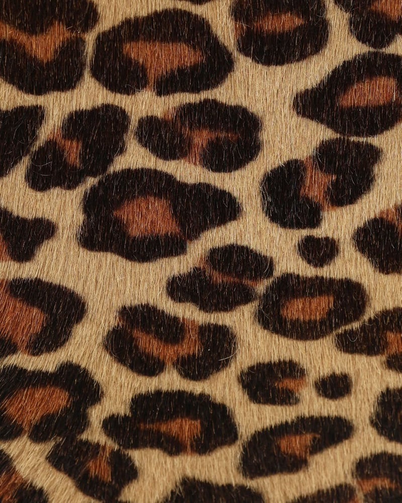 34019_a18f3cfe26_file-full