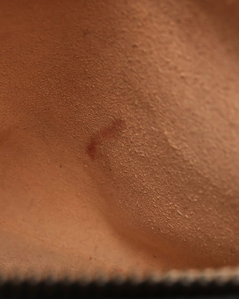 35993_93efb85664_file-full