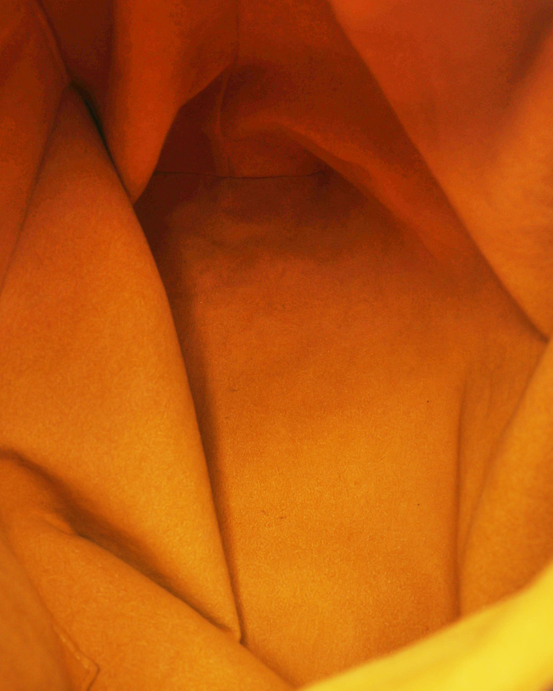 36611_5495ce16b2_file-full