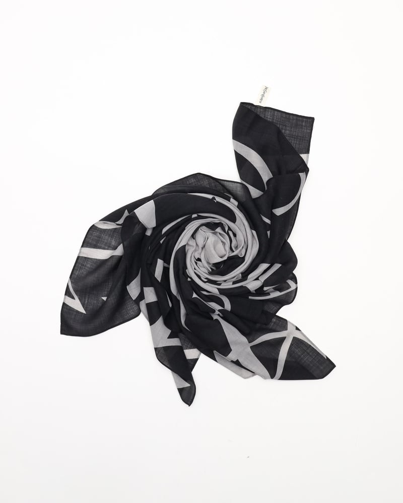 38348_c650bda9f8_file-full