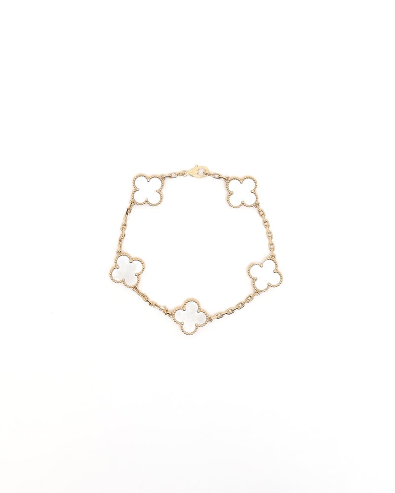 38542_780cb32cc5_file-full