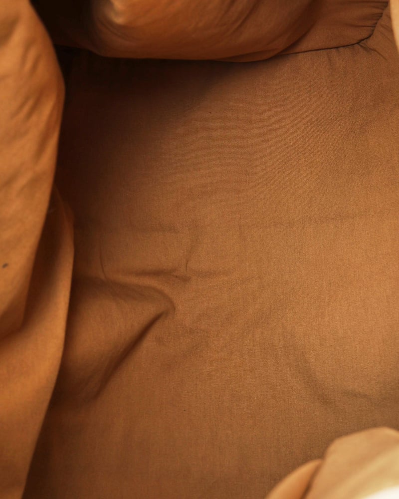 38556_a2c06d43a1_file-full