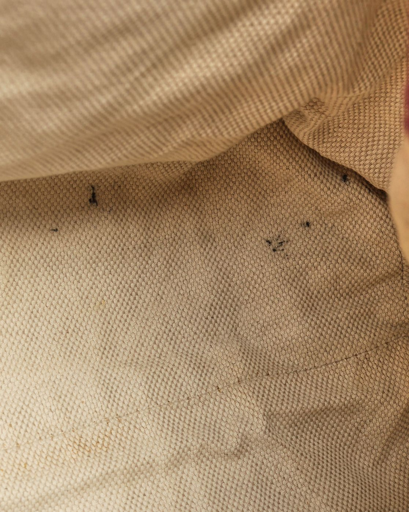 38954_5d3a1dc728_file-full