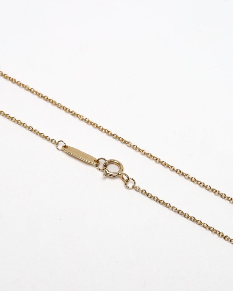 39909_ed09e10ff9_file-full