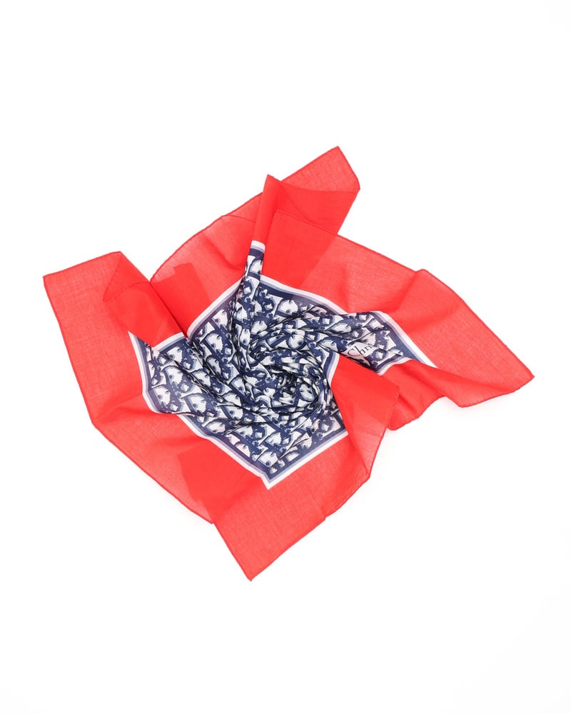 40433_b62882e2b9_file-full