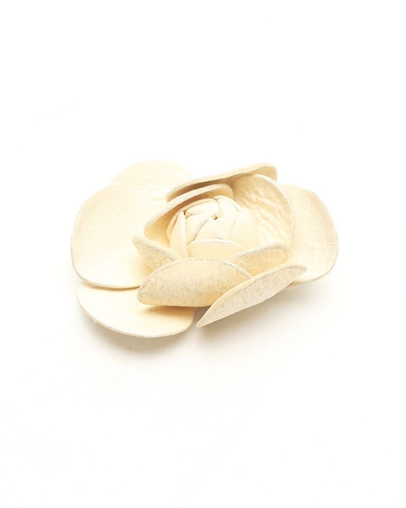 40459_fd115c4428_file-full