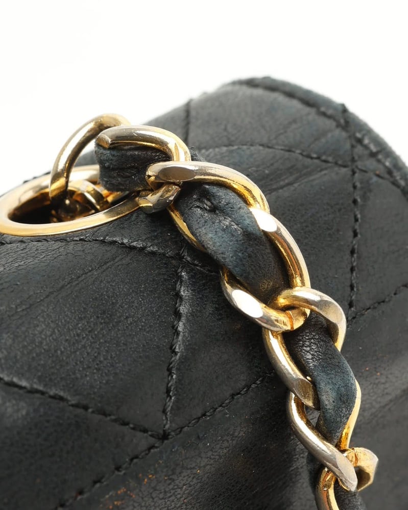 40533_4958483822_file-full