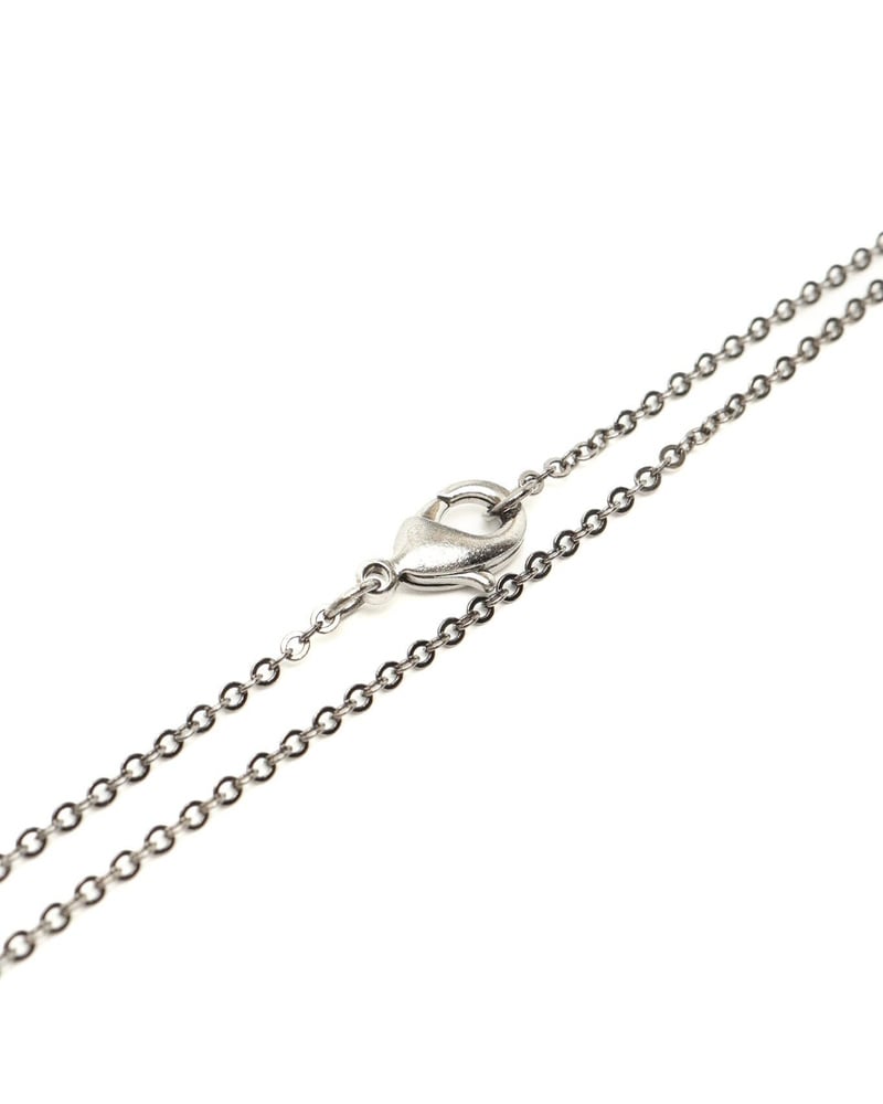 41025_496e6f659c_file-full