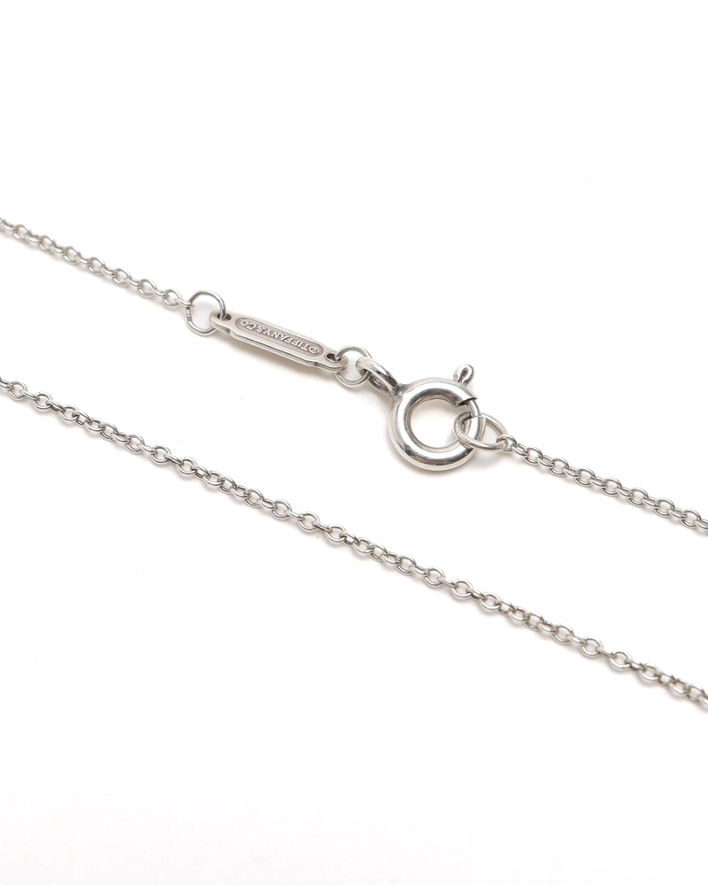 41589_0a5cdb4c32_file-full