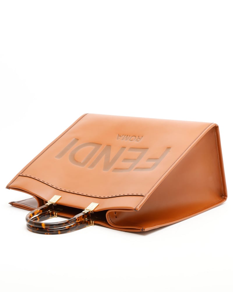 41779_33966e9041_file-full