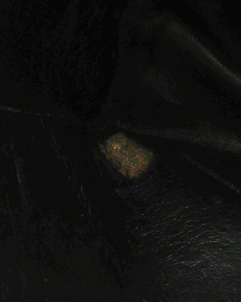 42325_424e6b4e13_file-full