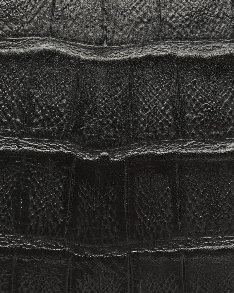 42591_a7779ce79c_file-full