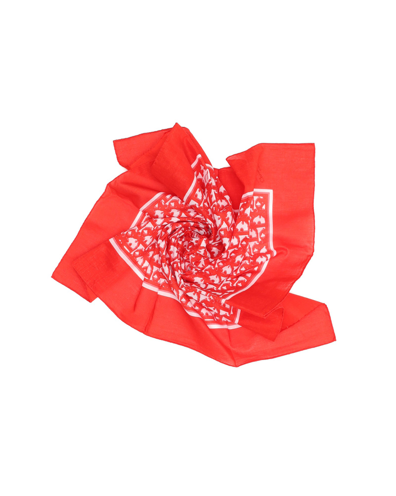 43106_d2086f377c_file-full