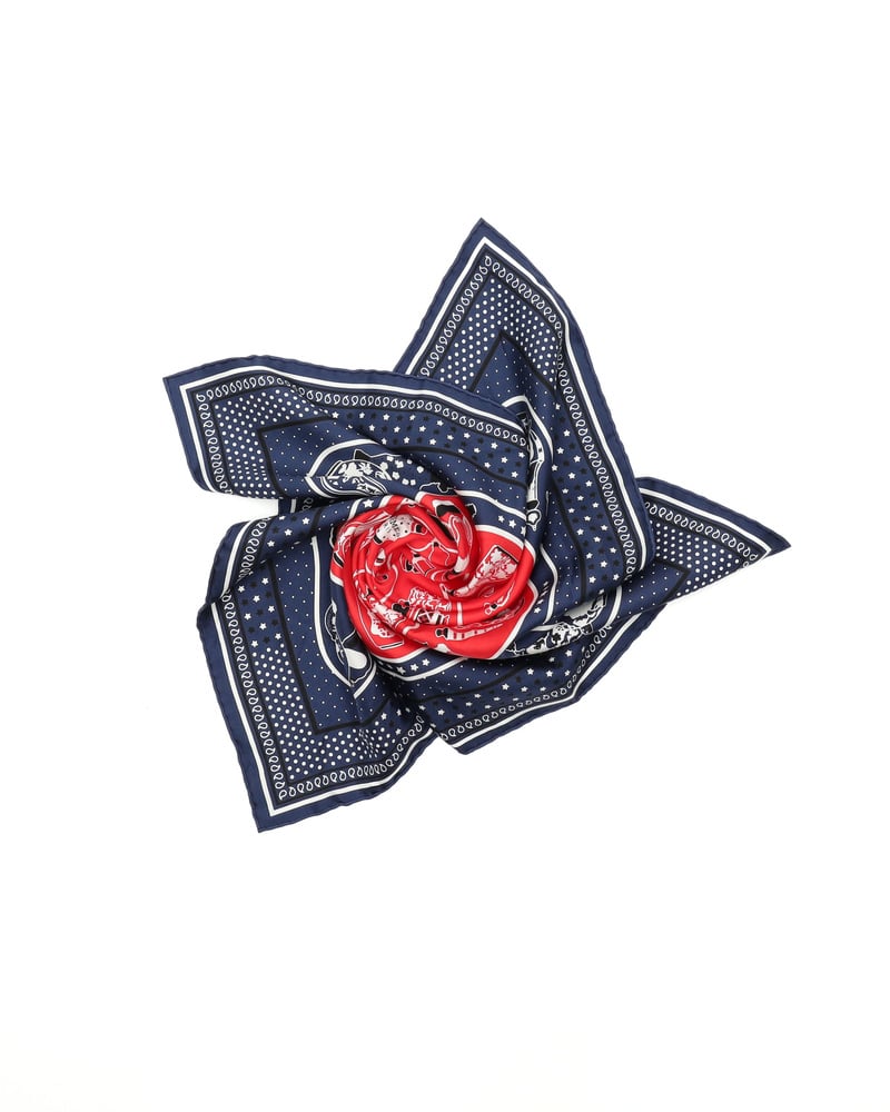 43336_6e9c3bf522_file-full