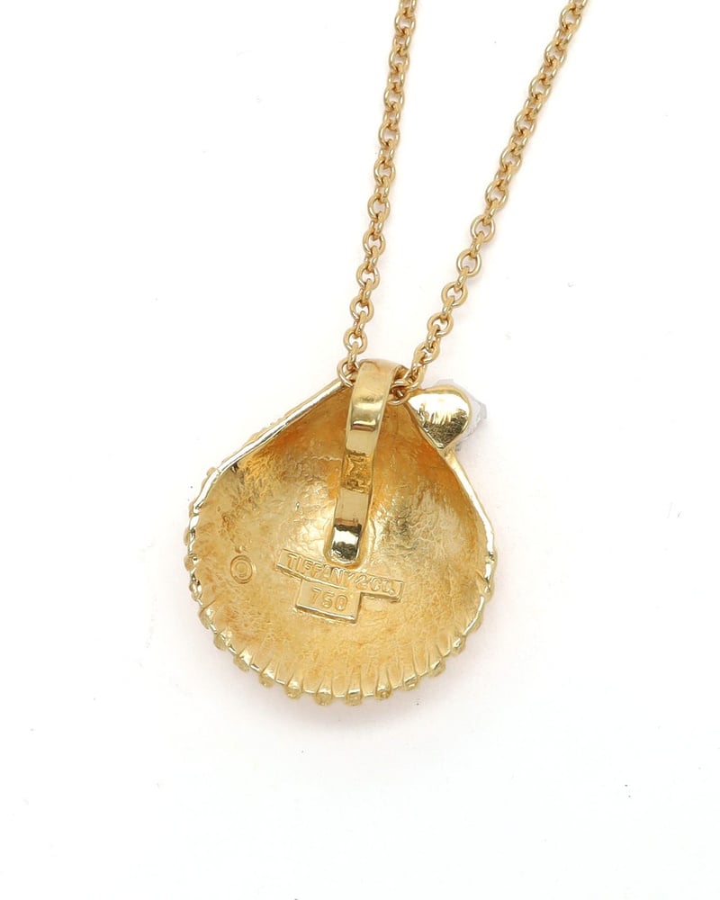 43408_5860cc2430_file-full