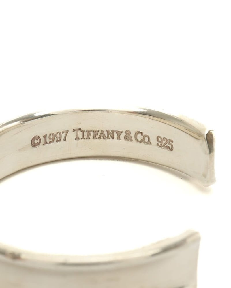 43461_13c566f615_file-full