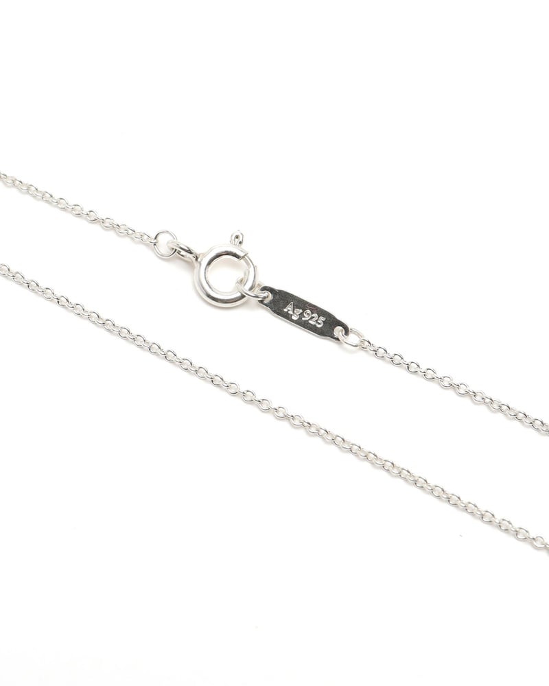 43492_e51532a0b9_file-full