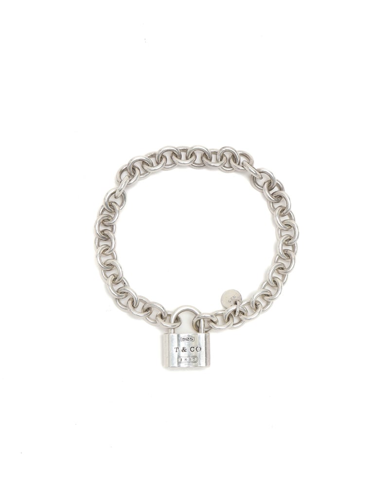 43667_150f6dee13_file-full