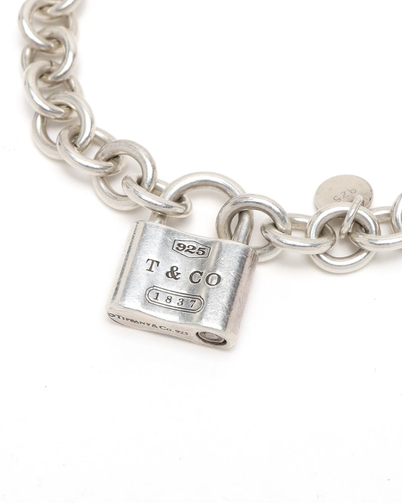 43667_fc02094fb7_file-full