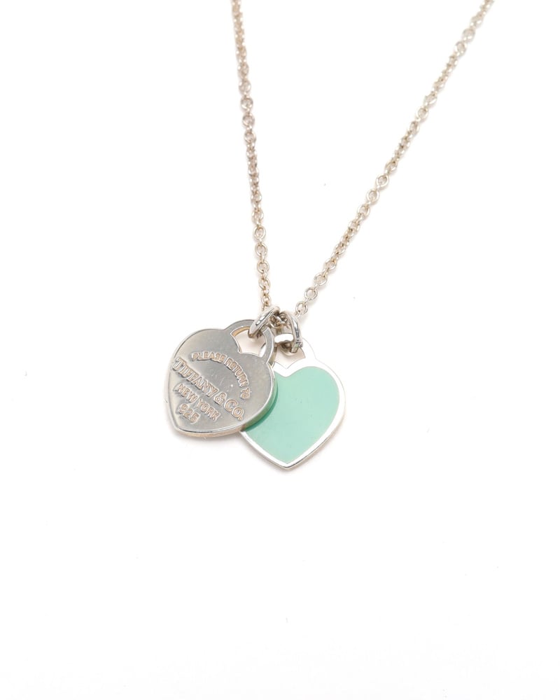 43686_a2cfdbb315_file-full