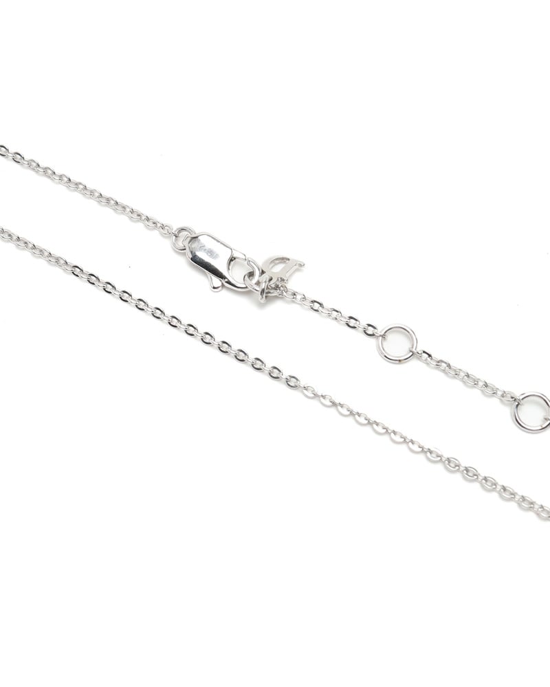 43695_d2c034737f_file-full