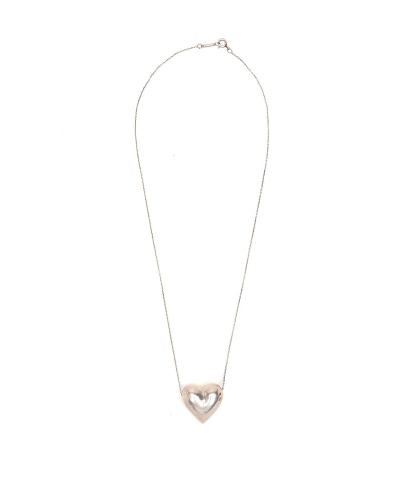 43763_0ca275b739_file-full