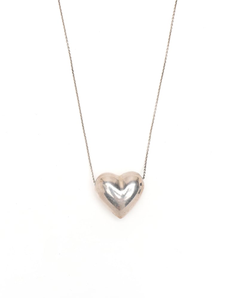 43763_60c2601f01_file-full