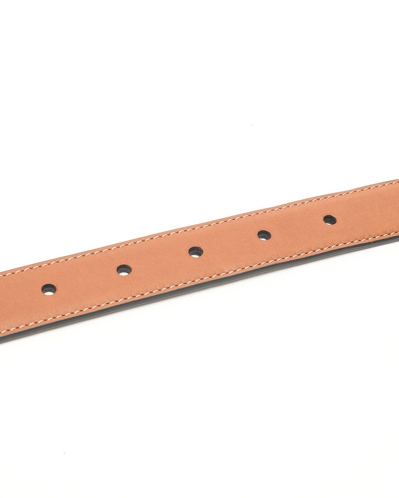 43868_e5a1bf4b55_file-full