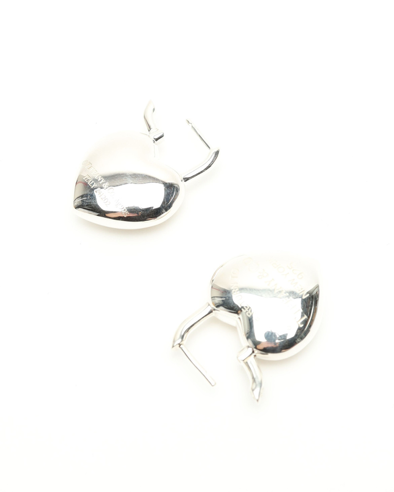 44704_666a0e0059_file-full