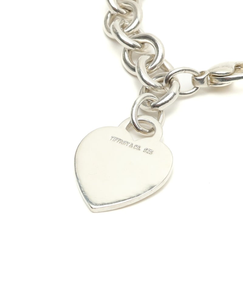 44742_5876fffbf3_file-full