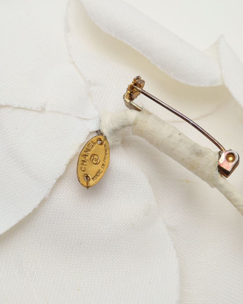 45127_781386f0e3_file-full