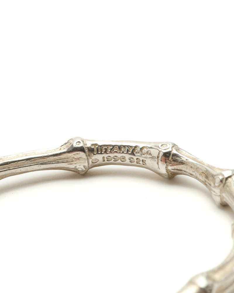 45225_d4cc7dddf9_file-full