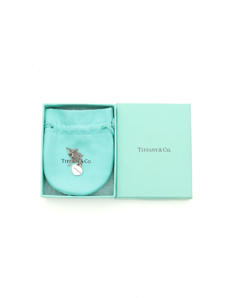 45724_cf548a8b2a_file-full