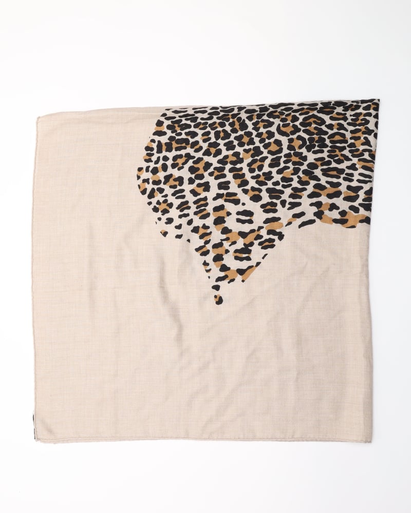 26581_2cc5d82aac_file-full