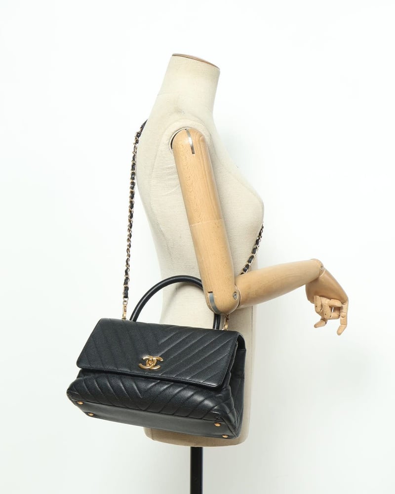 27313_535d0088c9_file-full