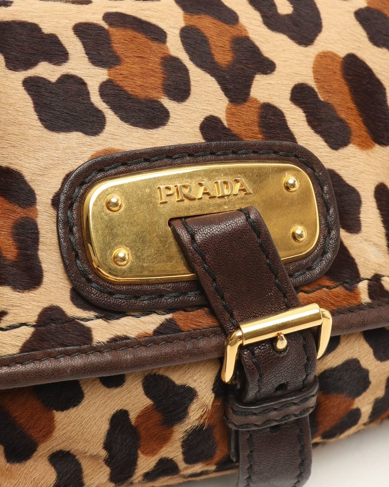 29848_1d4cba169d_file-full