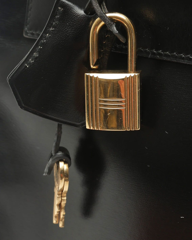 33173_81a36eb31c_file-full