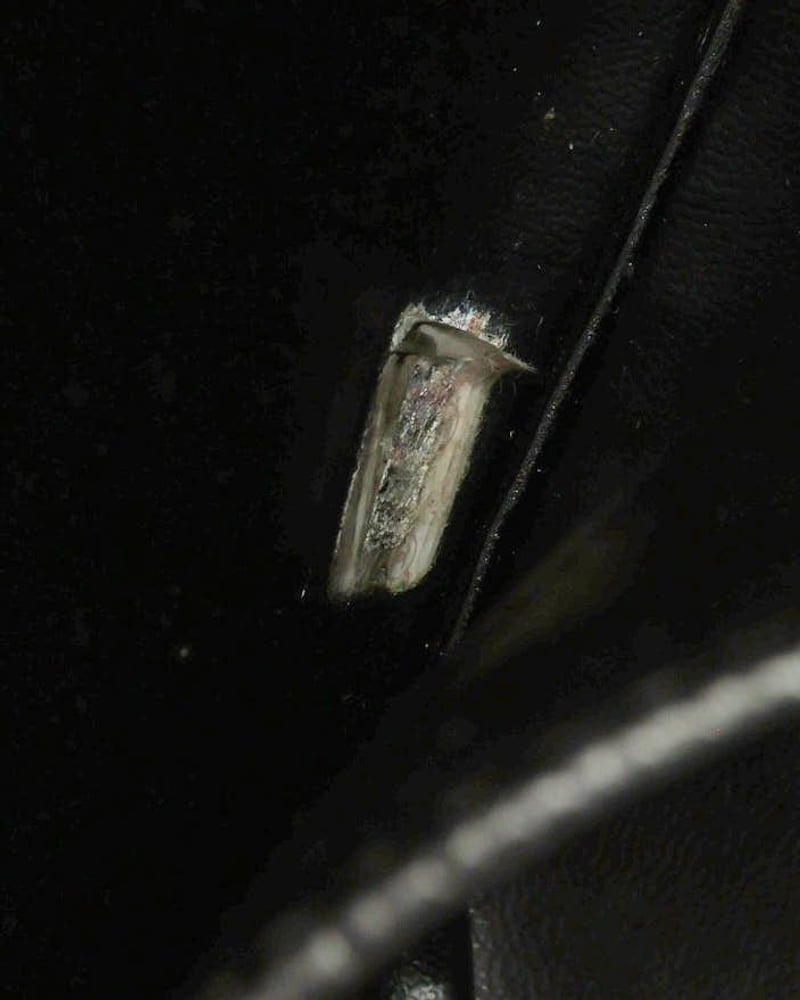 38052_6212d65bef_file-full