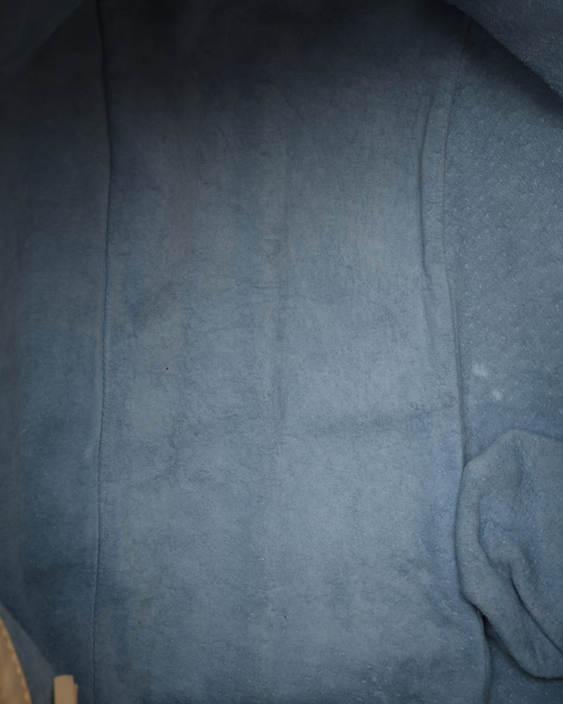 38312_fed862e738_file-full