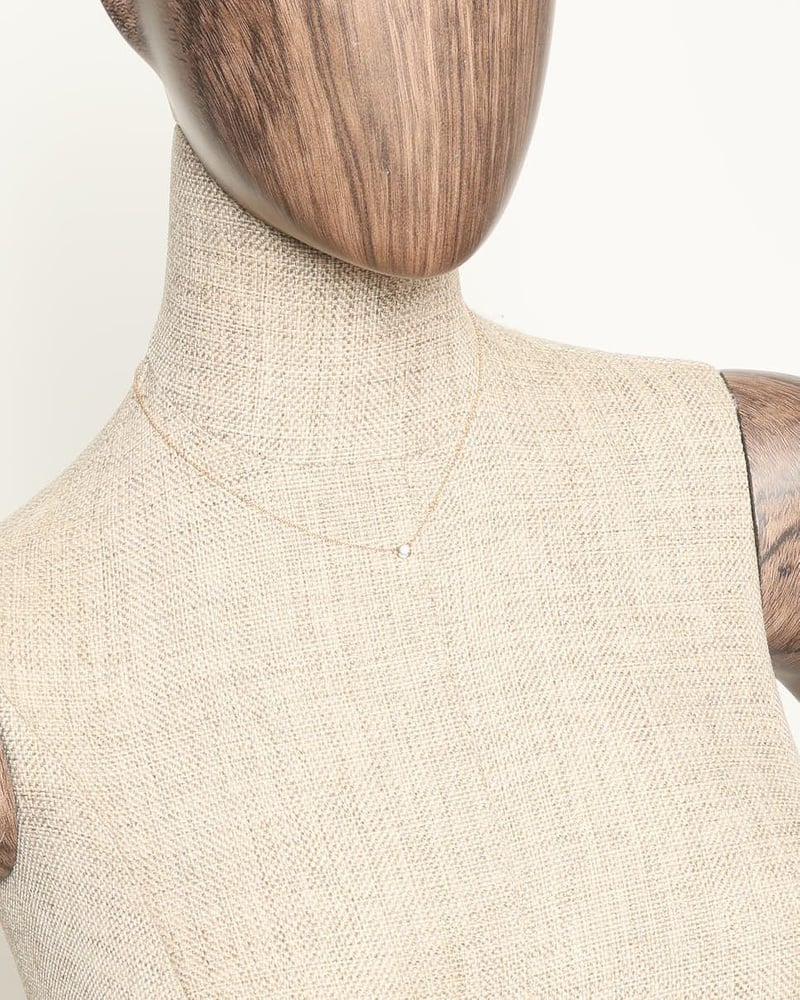 38702_6c1069fc04_file-full