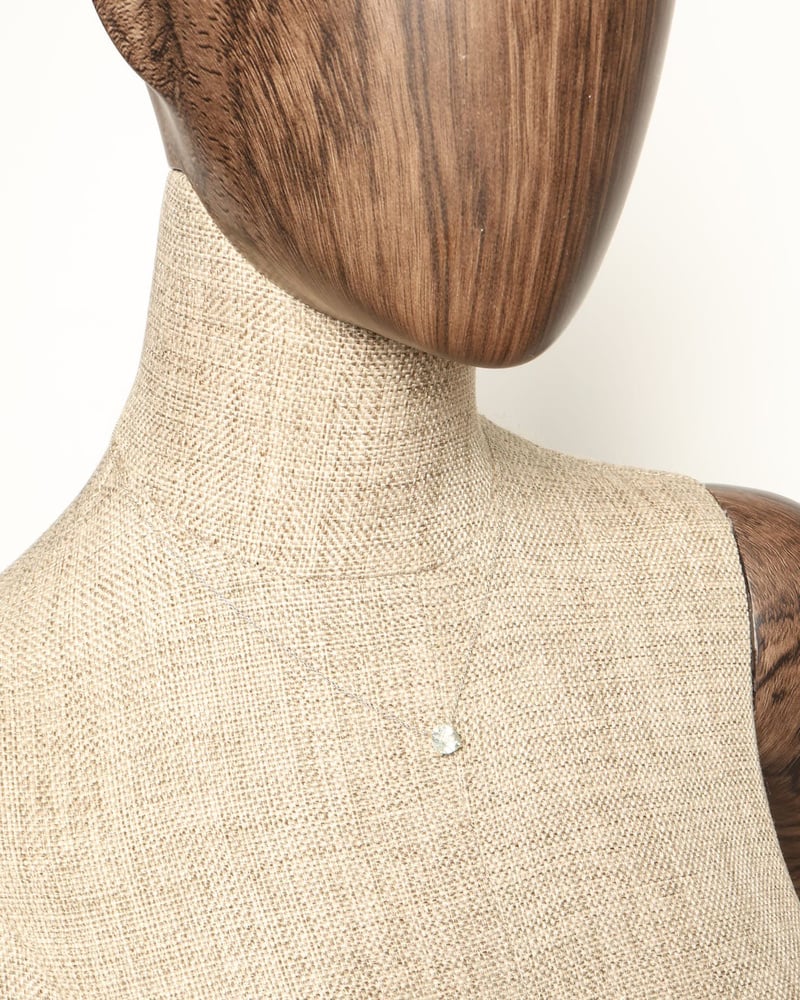 39062_e808c4e5c9_file-full