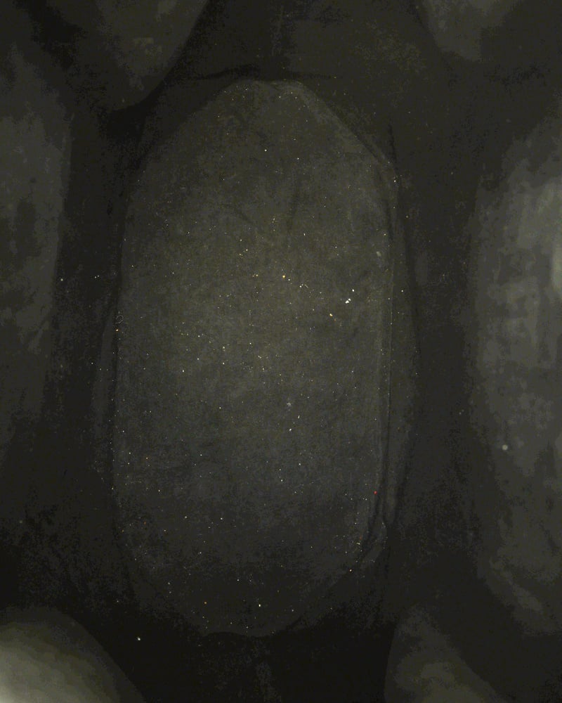 39698_20e69dd4e5_file-full